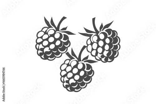 Elegant Trio of Gray Bramble Berries Design on White Background