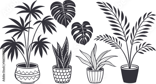 Set of indoor potted plant silhouette vector icons, perfect for gardening design, botanical home decor, foliage illustrations, eco-friendly artwork.
Exotic Palm Leaves, Monstera, and Botanical Foliage