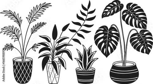 Set of indoor potted plant silhouette vector icons, perfect for gardening design, botanical home decor, foliage illustrations, eco-friendly artwork.
Exotic Palm Leaves, Monstera, and Botanical Foliage