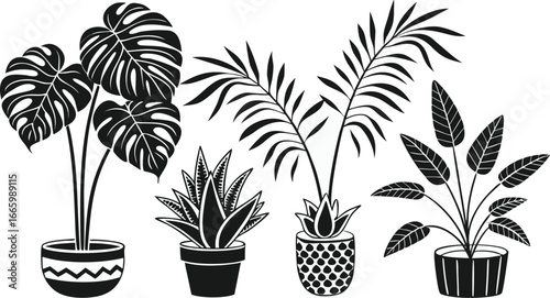 Set of indoor potted plant silhouette vector icons, perfect for gardening design, botanical home decor, foliage illustrations, eco-friendly artwork.
Exotic Palm Leaves, Monstera, and Botanical Foliage