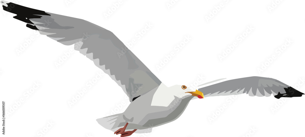 Fototapeta premium Web