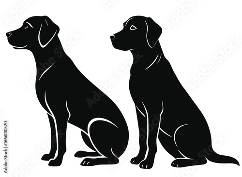 Vector art of two black labrador retriever dogs sitting in profile view