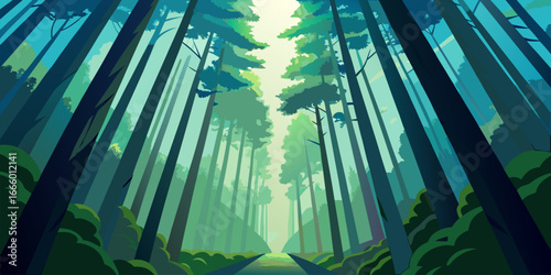Dense forest canopy viewed from below with sunlight filtering through