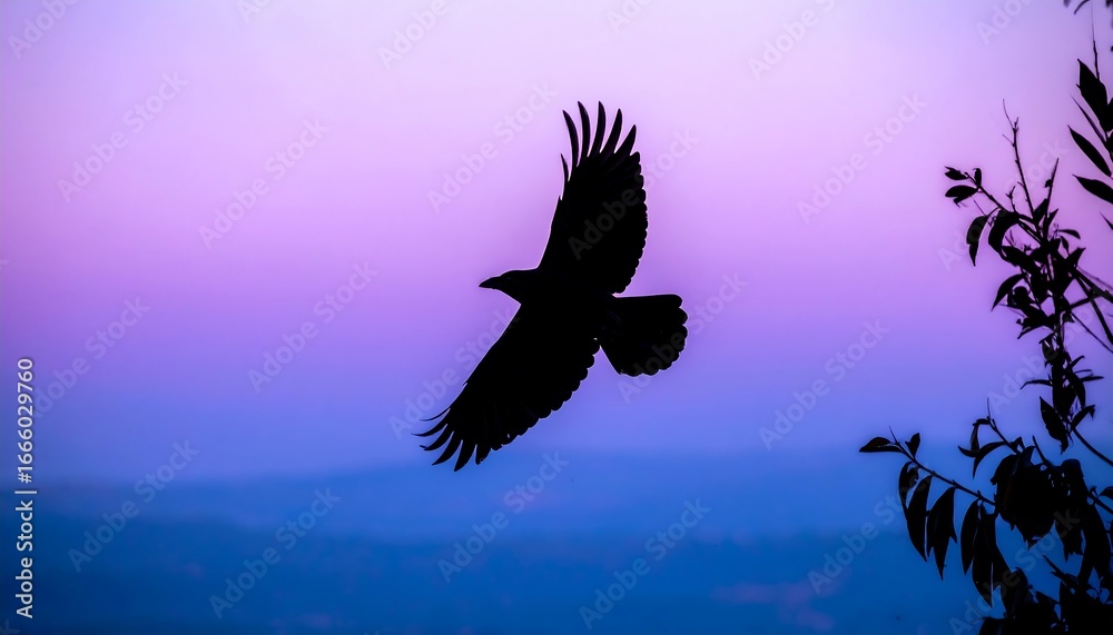 Fototapeta premium Silhouette of a Raven Soaring Against a Gradient Sky at Dusk