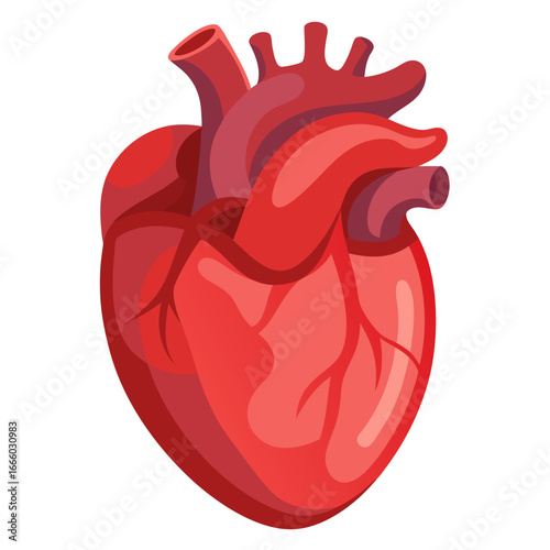 Wallpaper Mural rooster and heart Torontodigital.ca