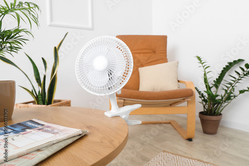 Electric fan and houseplant...