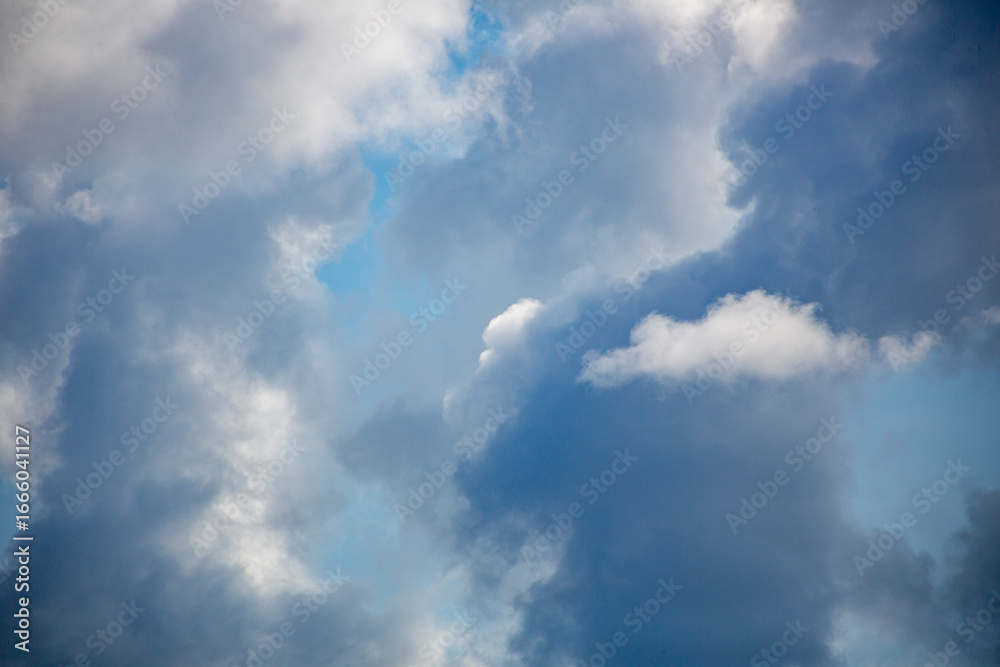 Obraz premium 奄美大島の夏の海。