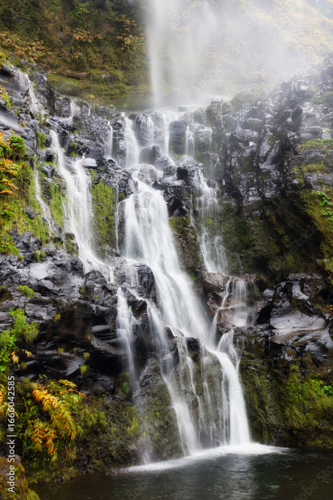 Fototapeta premium Beautiful waterfall near Faja Grande, Azores - Cascata do Poço do Bacalhau, Flores island