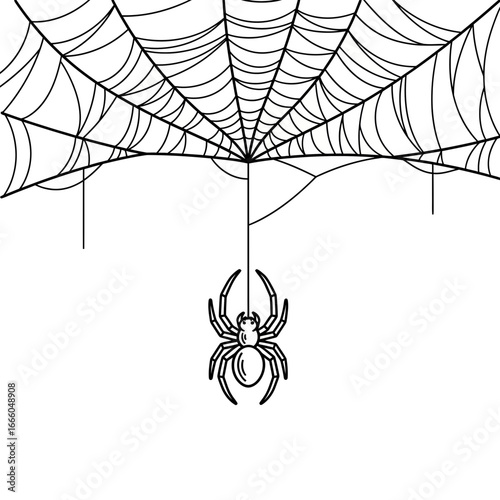 A detailed black and white illustration of a spider hanging from its web.