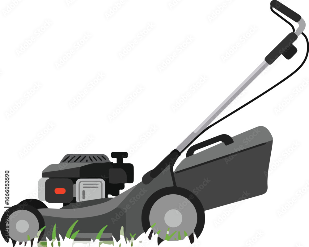 Fototapeta premium Web