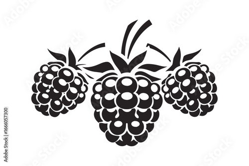 Trio of Stylish Black Raspberries Isolated on White Background