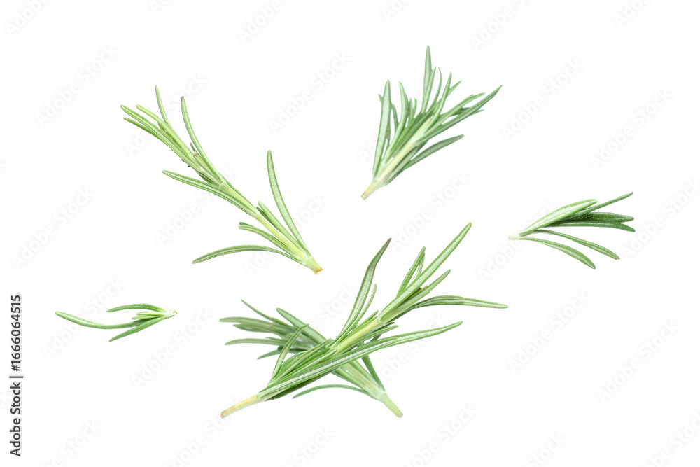 Fototapeta premium Flying green rosemary isolated on white background, closeup