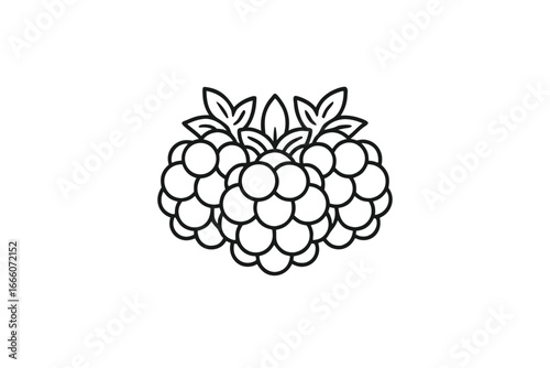 Stylized Raspberries Outline Design, Berries and Leaves on White Background
