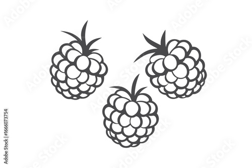 Three Raspberry Illustrations on White Background Food Icon