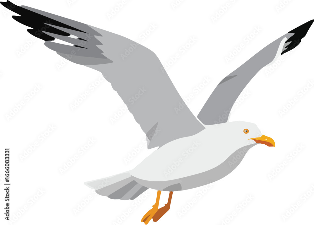 Fototapeta premium Web