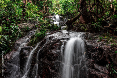 The natural backdrop of a waterfall in a deep forest or a reservoir by a stream, the beauty of the ecosystem, the green forest, the cool air during an adventurous trip.