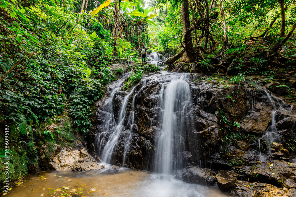 Obraz premium The natural backdrop of a waterfall in a deep forest or a reservoir by a stream, the beauty of the ecosystem, the green forest, the cool air during an adventurous trip.