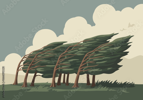 Trees bending in strong wind under a cloudy sky.