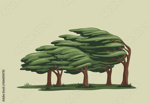 Group of green trees with wind-swept foliage and grassy ground.