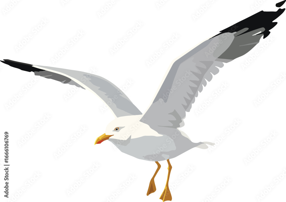 Naklejka premium Web