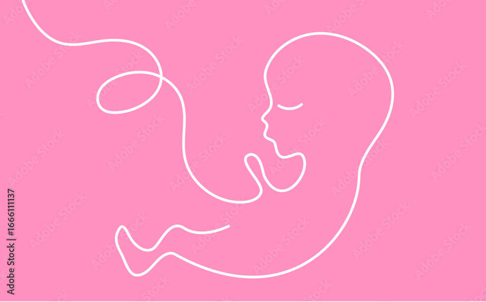 grafica, disegno, feto, bambino,, stilizzato, linea, linea singola,, filo, gravidanza, maternità grafica, disegno, feto, bambino,, stilizzato, linea, linea singola,, filo, gravidanza, maternità