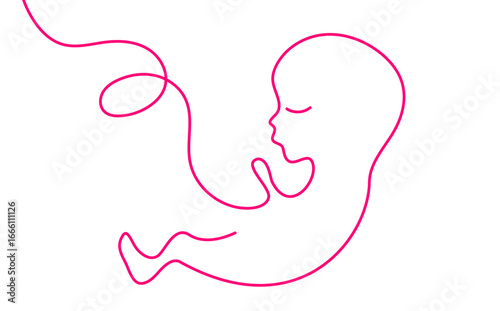 grafica, disegno, feto, bambino,, stilizzato, linea, linea singola,, filo, gravidanza, maternità