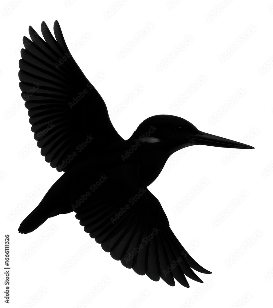 Obraz premium Silhouette of a flying kingfisher with sleek form
