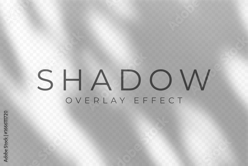 Shadow overlay effect. Transparent soft light and shadows from plant branches, leaves and foliage. Mockup of abstract transparent shadow overlay effect and natural lightning scene. Vector