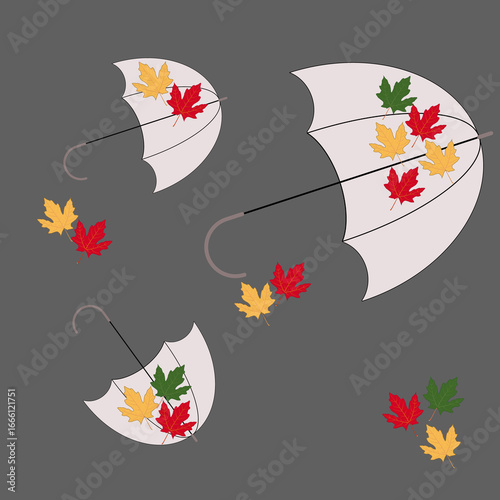 Falling Colors — Autumn Umbrellas with Maple Leaves on Dark Background