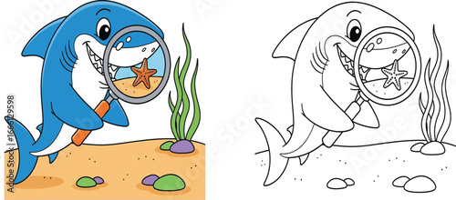  A curious cartoon shark on the seabed exploring a starfish with a magnifying glass. Vector illustration and coloring page.