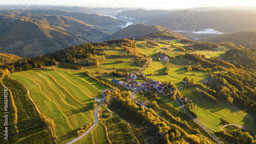 Aerial view of rolling hills and terraced fields, where golden sunlight kisses the vibrant greenery, creating a picturesque landscape, Jauerling, NiederÃ¶sterreich, Austria.