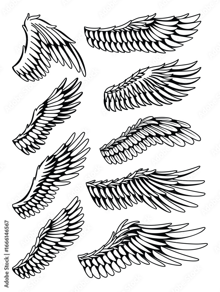Fototapeta premium Wings sketch collection. Stylized birds wings. Hand drawn contoured stiker wing in open position. Vector design elements in coloring style