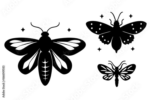 Vector art of three moth silhouettes, showcasing the beauty and diversity of these nocturnal insects in a minimalist style