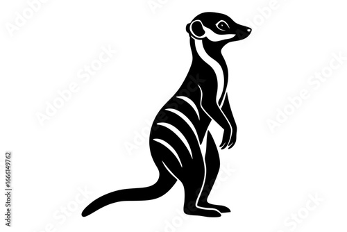 Illustration of a meerkat, a small mammal from africa known for its social behavior and desert habitat