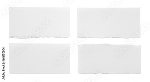 Wallpaper Mural Four distinct rectangular blank white paper pieces with ragged torn edges and texture, studio lit on a transparent background for copy space. Concept of new ideas Torontodigital.ca