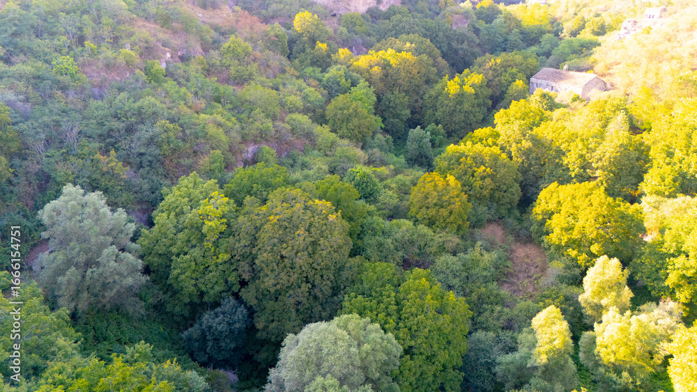 Naklejka premium Forest landscape from above, showcasing the texture of green canopies and the importance of ecosystem health