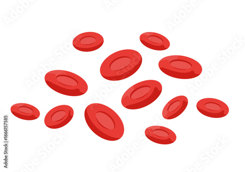 Red blood cells with donut shape clustered on a white backdrop