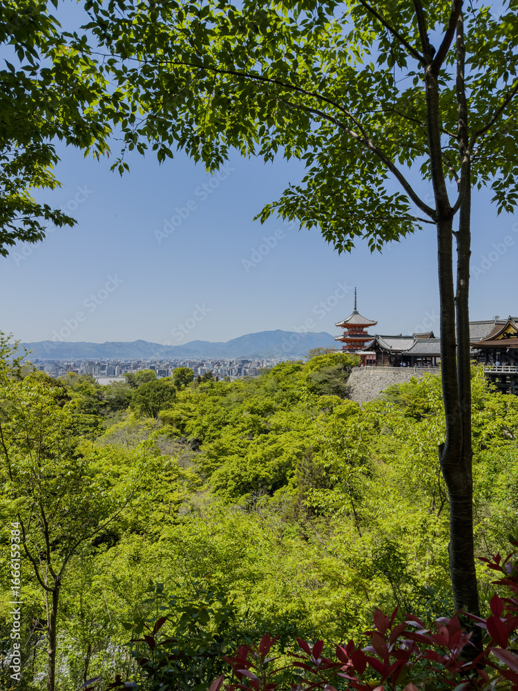 Fototapeta premium Kyoto Pagode