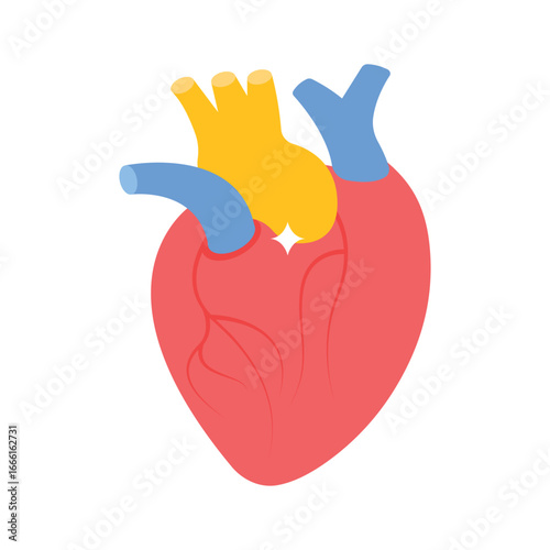 A premium isometric icon featuring human heart organ