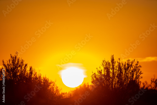 Sunset over the palm grove - Tunisia