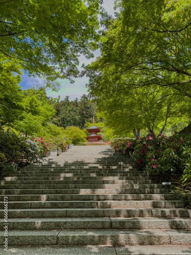 Daruma Temple