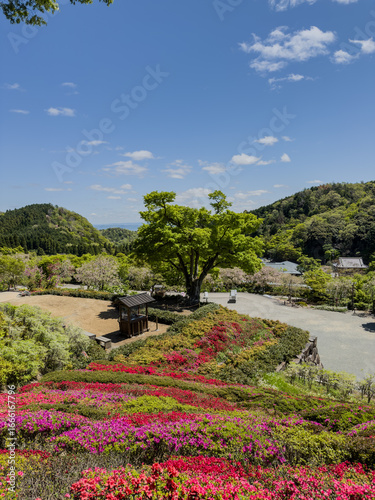 Daruma Temple