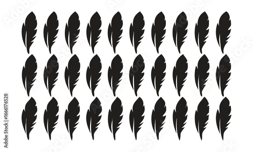 Rows of black feather silhouettes on a white background quill bird