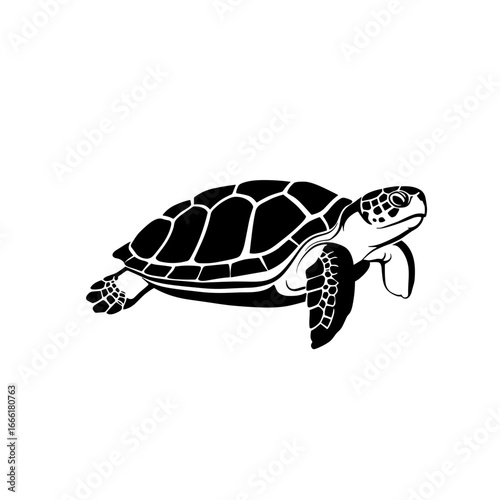 Black silhouette of a turtle swimming softly in water  