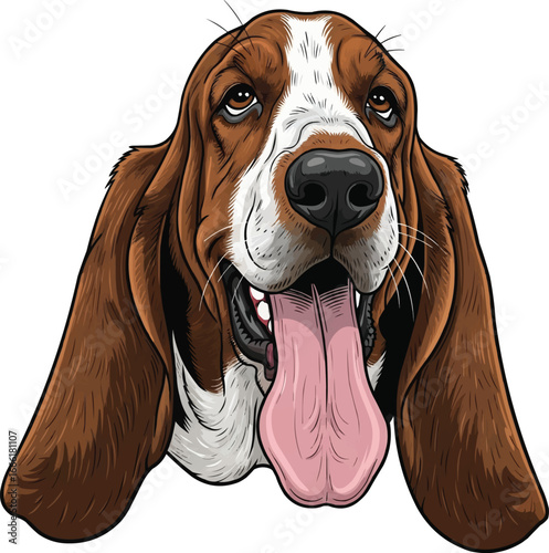 Basset Hound dog panting happy face portrait with tongue out