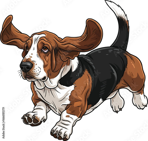 Basset Hound dog running with floppy ears cute vector illustration