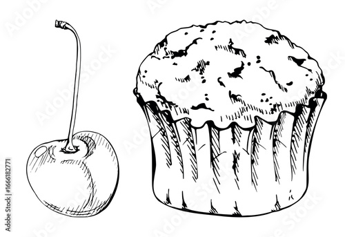 Vector ink muffin in frilled paper holder, cupcake in parchment wrapper with ripe cherry on stem beside. Hand drawn clipart for citrus menu cards, recipe layouts, party invites, and festival flyers.