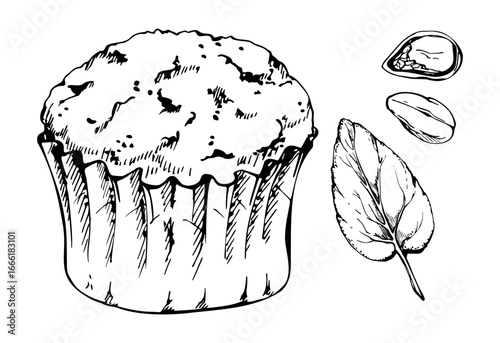 Fresh mint leaf and pistachio kernel beside baked nut cupcake in craft paper wrap, artisanal muffin in frilled parchment cup. Isolated hand drawn illustration. Card frames, patisserie label motifs.