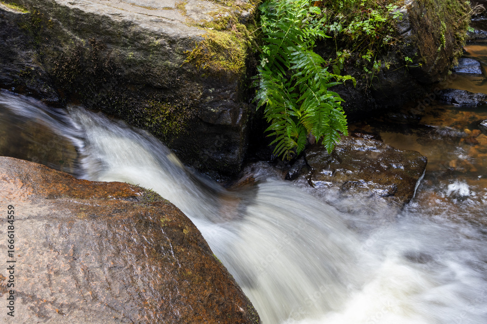 Obraz premium waterfall in the mountains
