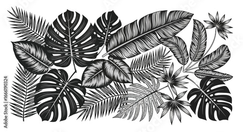 Vector art of collection of tropical leaves and plants in a detailed black and white illustration